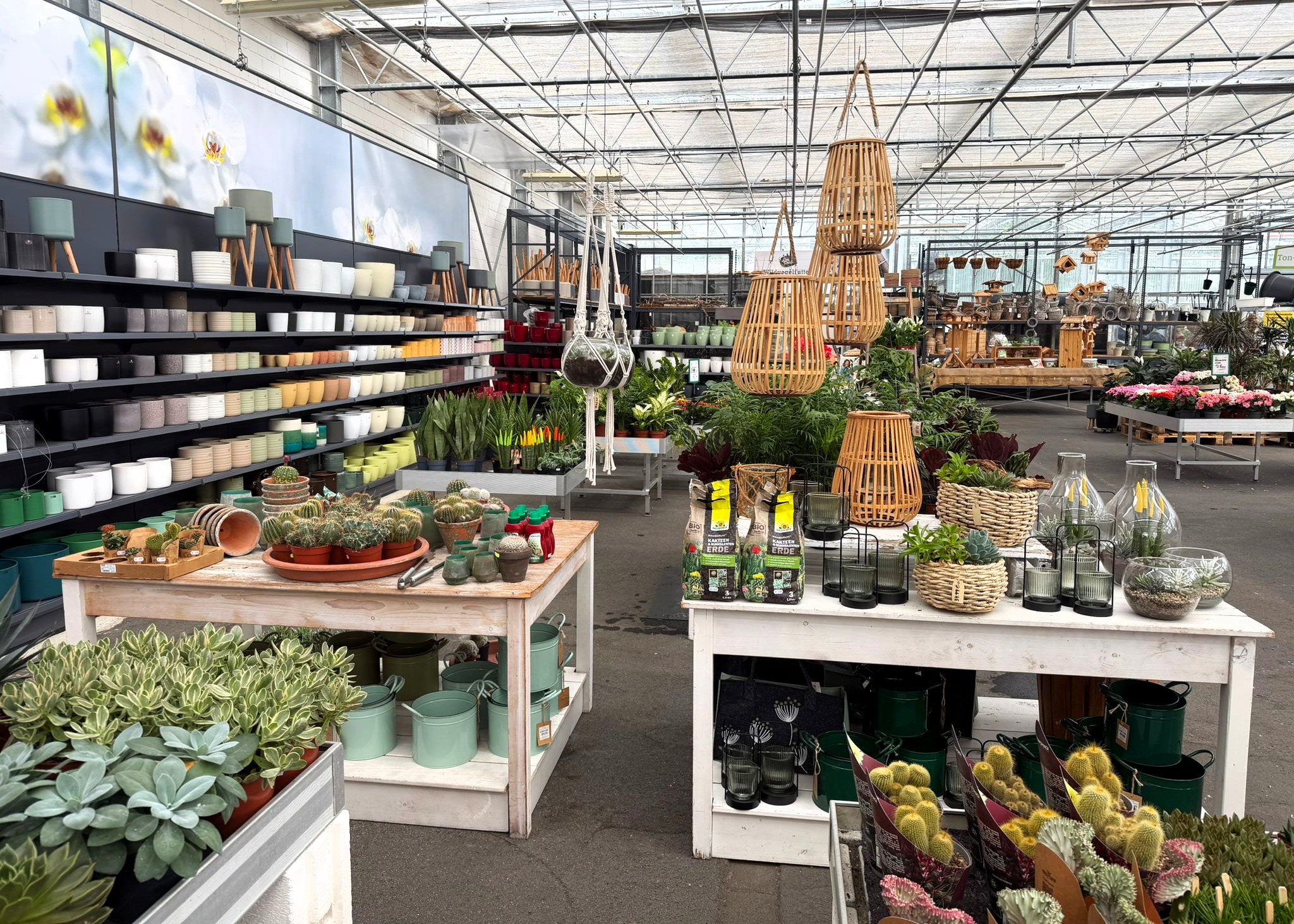 Monheimer Blumenmarkt